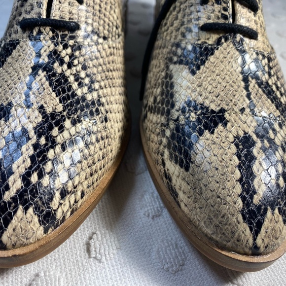 COLE HAAN Modern Classic Oxford - Python Printed Leather - Picture 7 of 16